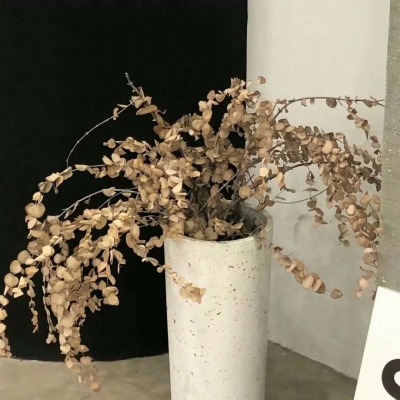 Furry插画色彩灵感福瑞交流群